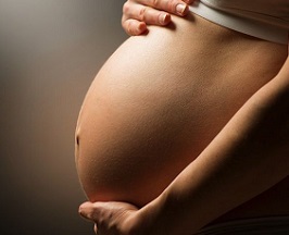 Female Cycle Nutrition